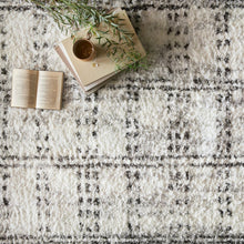 Cargar imagen en el visor de la galería, Bliss Shag Collection BLS-03 Cream / Grey