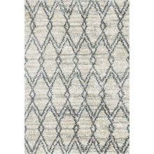 Cargar imagen en el visor de la galería, Quincy Shag Collection QC-04 Sand / Graphite
